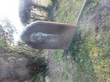 image of grave number 564619